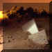 dia-07.jpg (12704 byte)